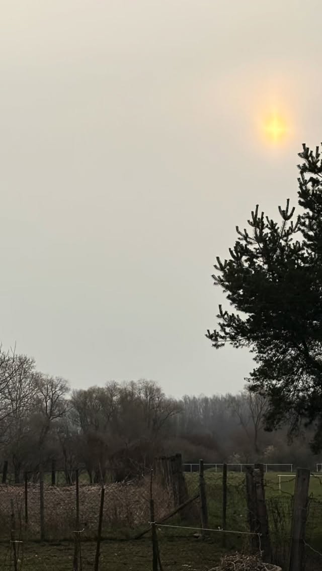 Keď sme sa presťahovali z Bratislavy do vinice na Lubihegyi, zmenili sme svoj život. Čo som chcela dosiahnúť ja, bol jednoduchý, sebestačný život. Môj muž ma v tom podporil už len tým, že moje výmysly strpel.

Čosi nám z toho života ostalo aj po odchode z vinice.

Stali sme sa náročnými na kvalitné víno, jedlo - najmä chlieb, a ako som zistila najnovšie, tak aj kávu.

Dobrých 10 rokov pijeme french press z ručne mletej kávy. Keď sa mlynček, ktorý sme dostali darom, po 10 rokoch pokazil, povedali sme si, že je čas na upgrade.

Elektrický kávovar, ktorý zomelie zrná a urobí aj capuccino.

Starostlivým výberom sme dospeli k modelu, ktorý … ma 10 ročnú záruku a potrebuje presne 0 kW/ h elektrickej energie 😂

Ranné rituály sú zachránené ❤️

#marriage #couple #home #coffee #frenchpress