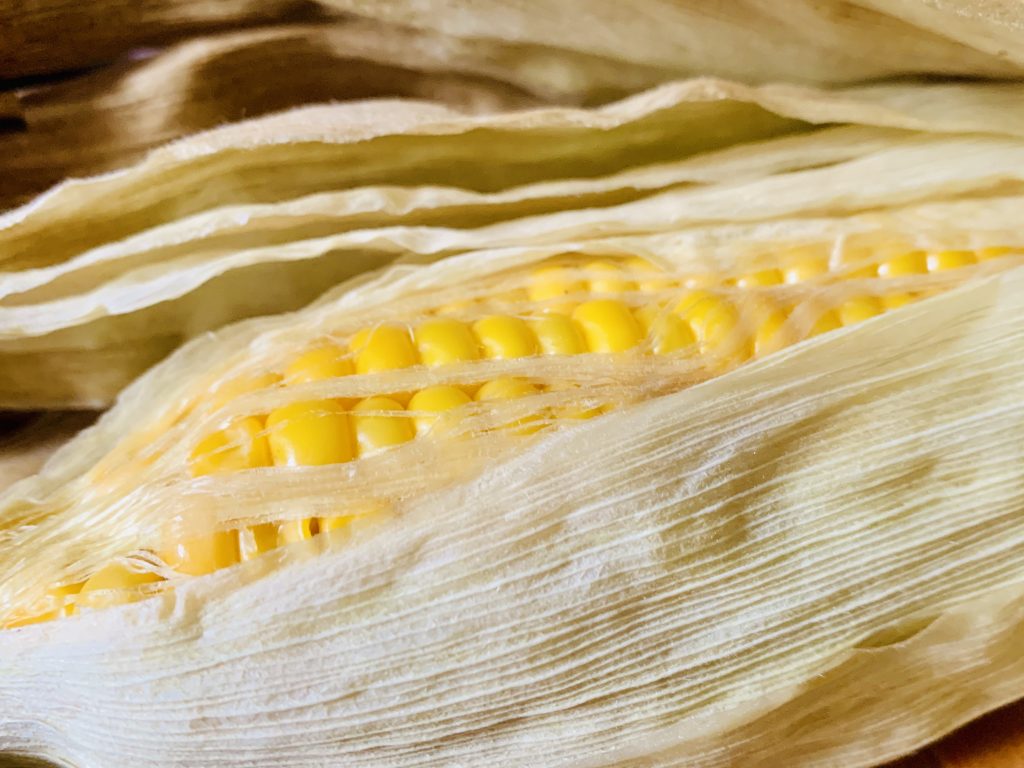 pečená kukurica