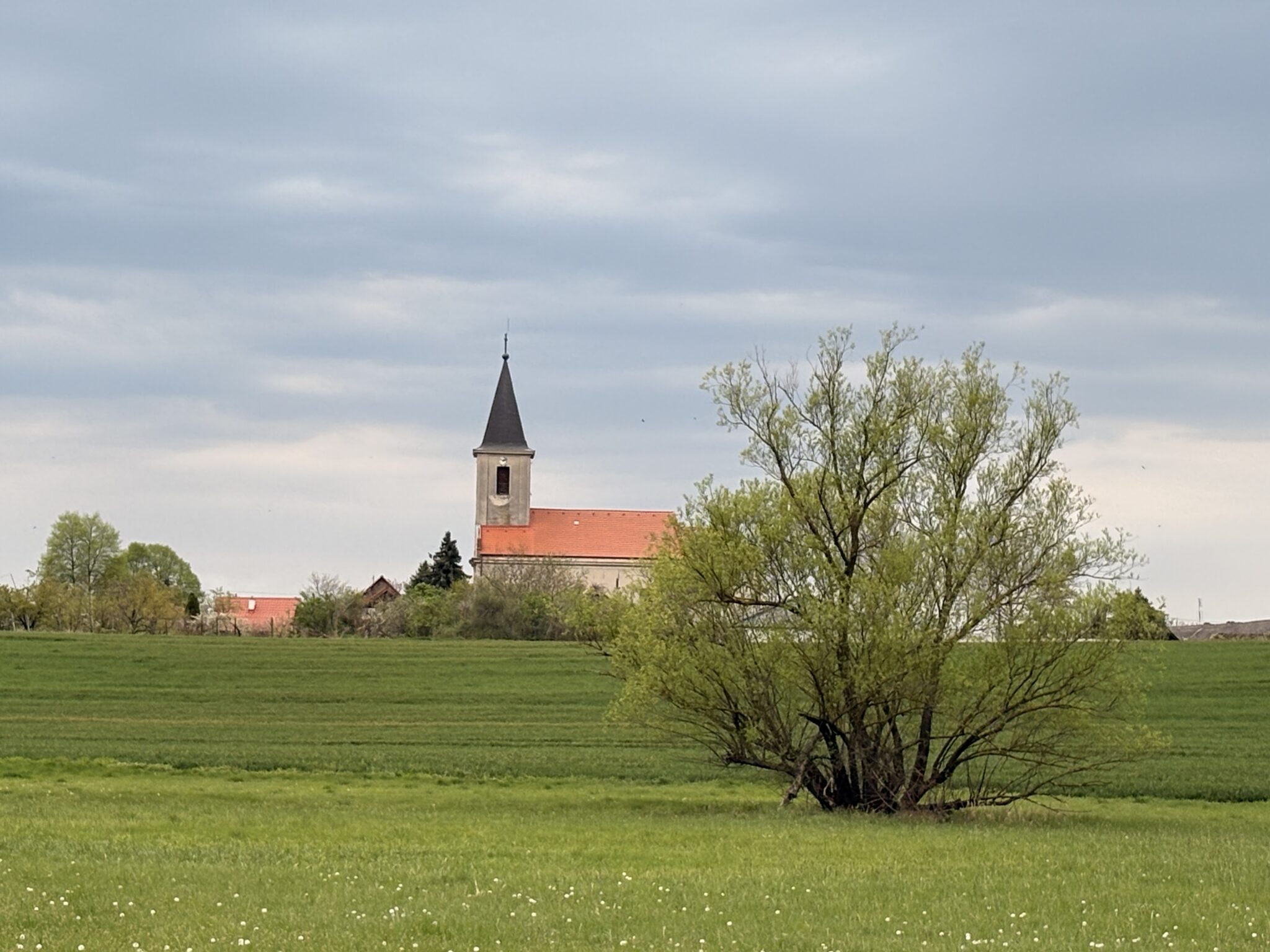 Príbeh mince